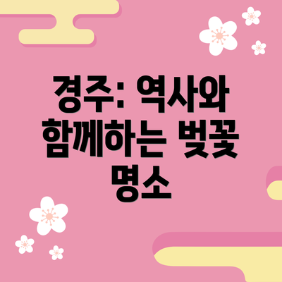 경주: 역사와 함께하는 벚꽃 명소