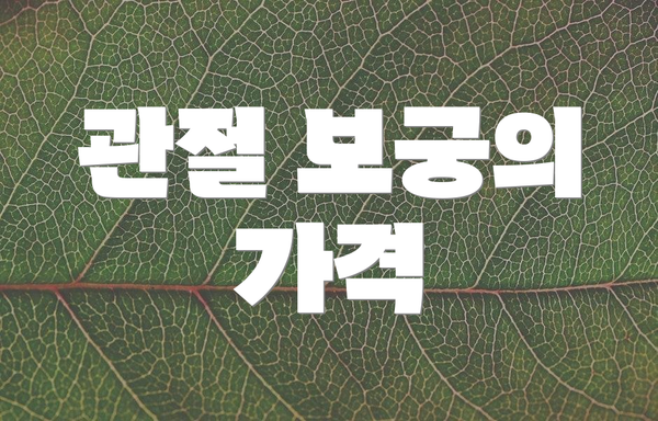 관절 보궁의 가격