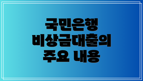 국민은행 비상금대출의 주요 내용