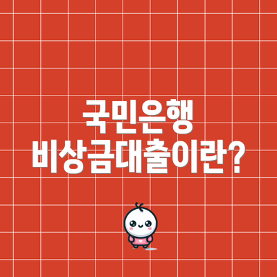 국민은행 비상금대출이란?