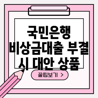 국민은행 비상금대출 부결 시 대안 상품