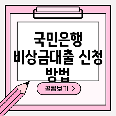 국민은행 비상금대출 신청 방법