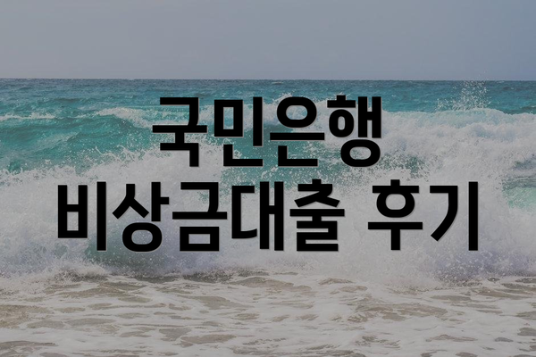 국민은행 비상금대출 후기