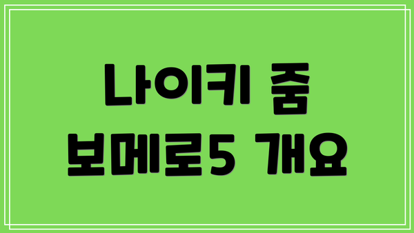 나이키 줌 보메로5 개요