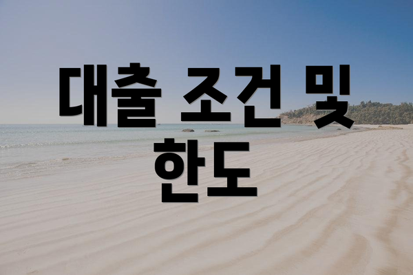 대출 조건 및 한도
