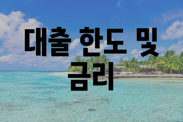 대출 한도 및 금리