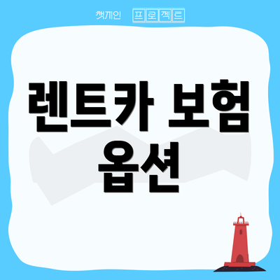 렌트카 보험 옵션
