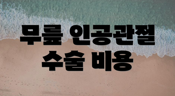 무릎 인공관절 수술 비용