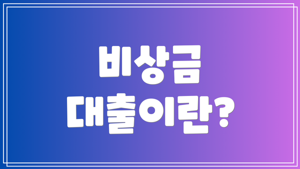 비상금 대출이란?