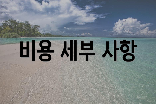 비용 세부 사항