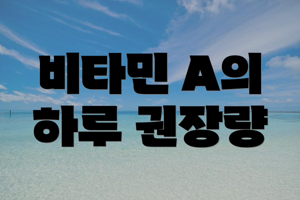 비타민 A의 하루 권장량