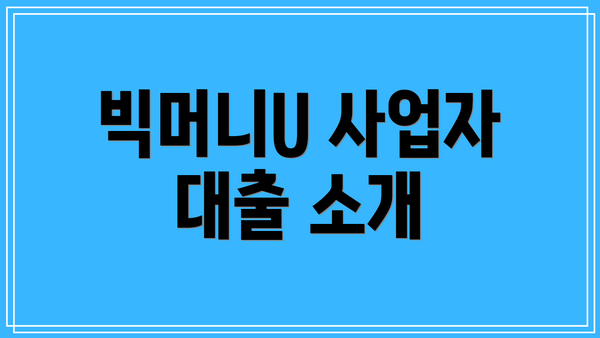 빅머니U 사업자 대출 소개