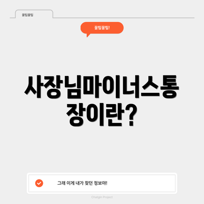 사장님마이너스통장이란?