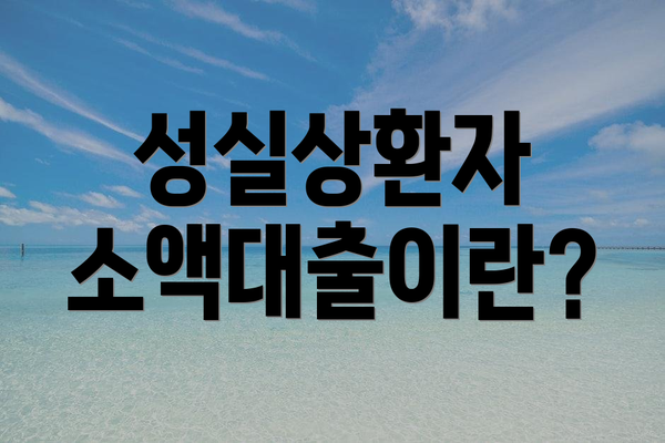 성실상환자 소액대출이란?