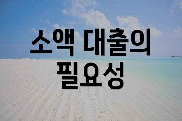 소액 대출의 필요성