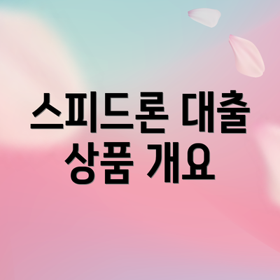 스피드론 대출 상품 개요