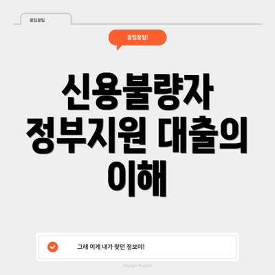 신용불량자 정부지원 대출의 이해