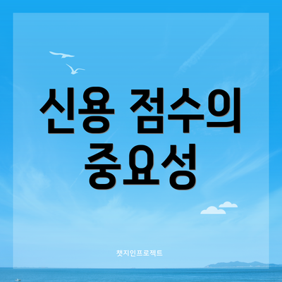 신용 점수의 중요성