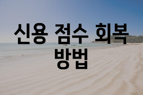 신용 점수 회복 방법