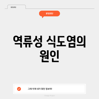 역류성 식도염의 원인