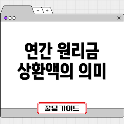 연간 원리금 상환액의 의미