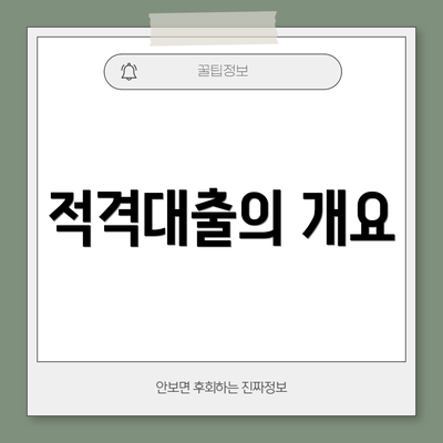 적격대출의 개요