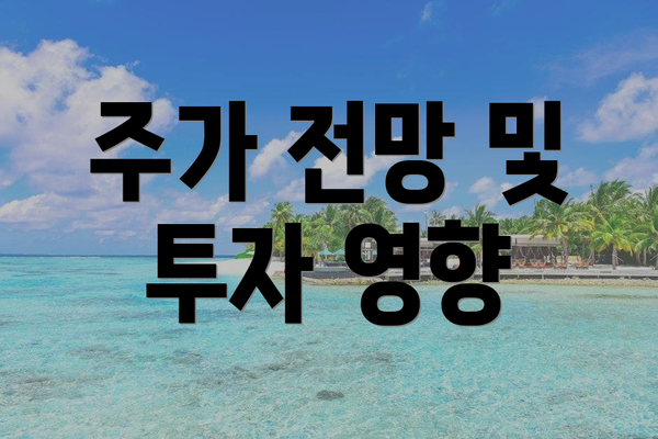주가 전망 및 투자 영향