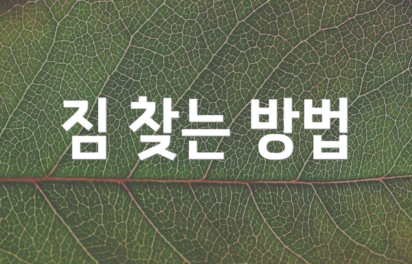 짐 찾는 방법