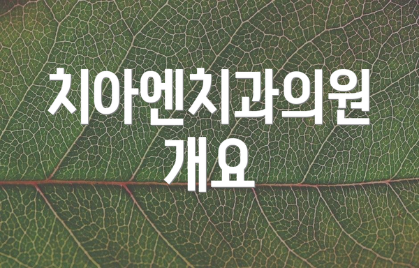 치아엔치과의원 개요