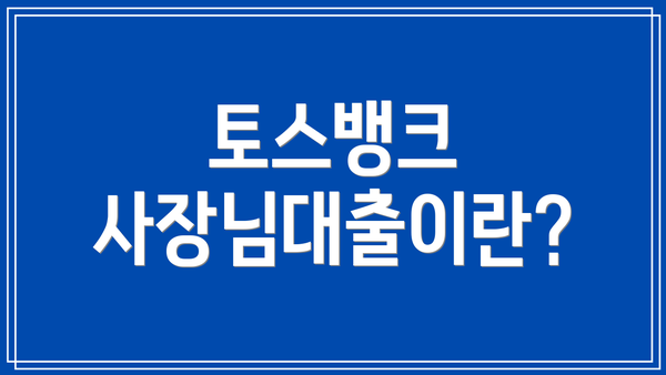 토스뱅크 사장님대출이란?
