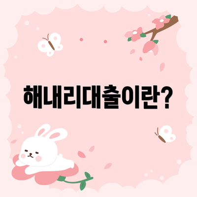 해내리대출이란?