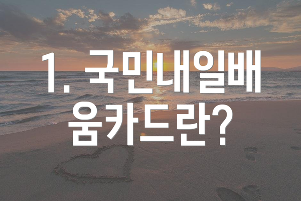 1. 국민내일배움카드란?