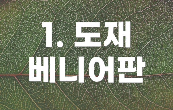 1. 도재 베니어판