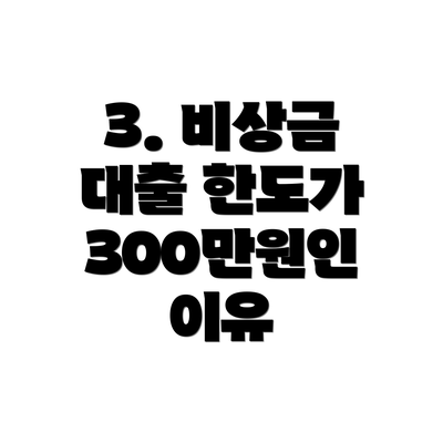3. 비상금 대출 한도가 300만원인 이유