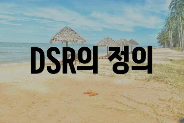 DSR의 정의