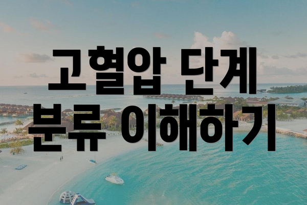 고혈압 단계 분류 이해하기