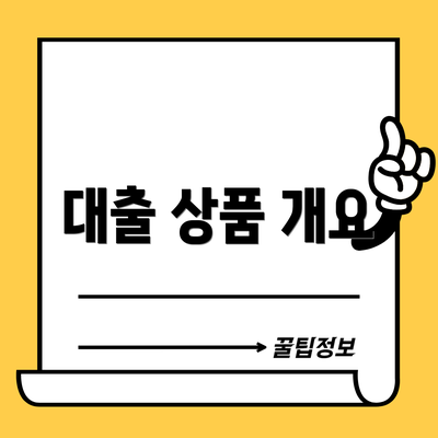 대출 상품 개요