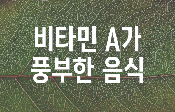 비타민 A가 풍부한 음식