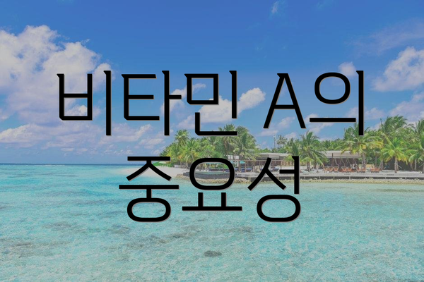 비타민 A의 중요성