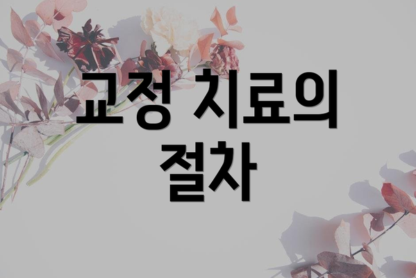 교정 치료의 절차