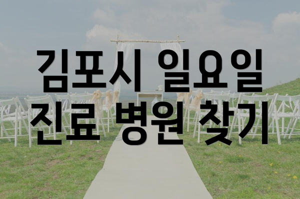 김포시 일요일 진료 병원 찾기
