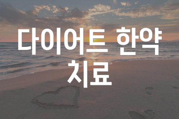 다이어트 한약 치료