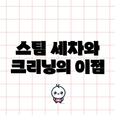 스팀 세차와 크리닝의 이점