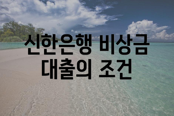 신한은행 비상금 대출의 조건