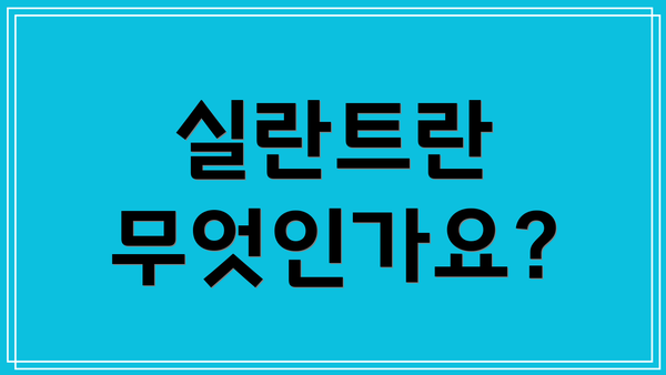 실란트란 무엇인가요?
