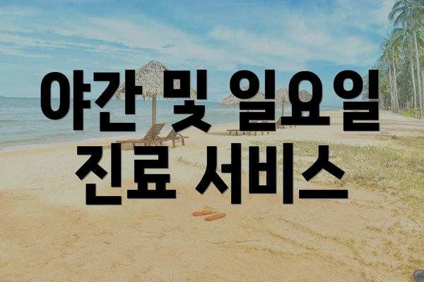 야간 및 일요일 진료 서비스