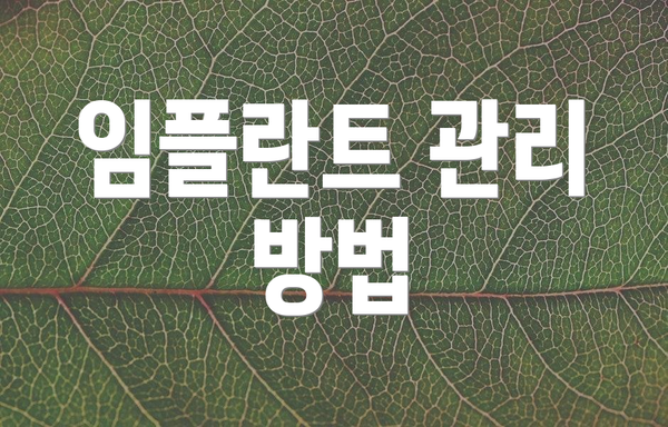 임플란트 관리 방법