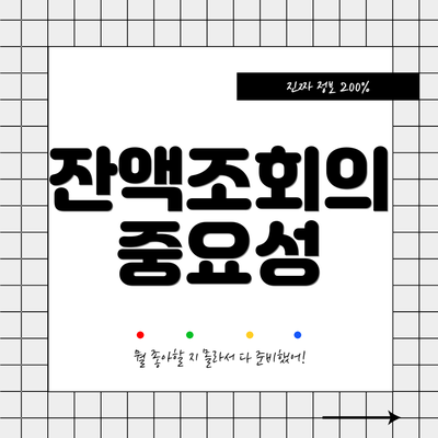 잔액조회의 중요성