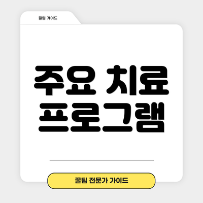 주요 치료 프로그램