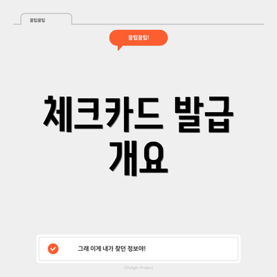체크카드 발급 개요